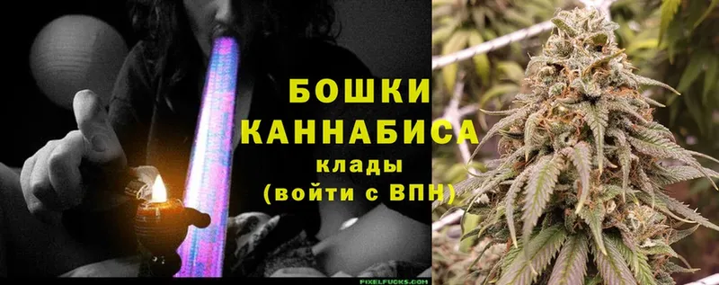 Каннабис SATIVA & INDICA  Северская 